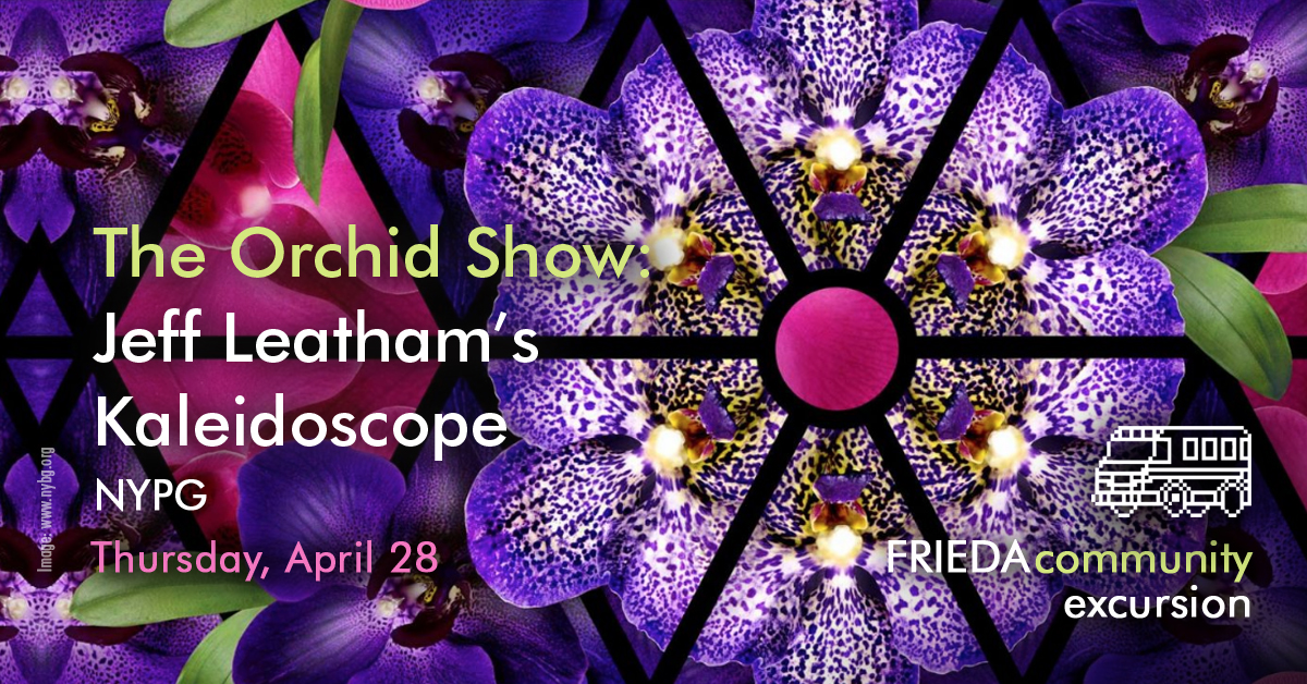 Jeff Leatham Kaleidoscope photo Orchid Thumbnail