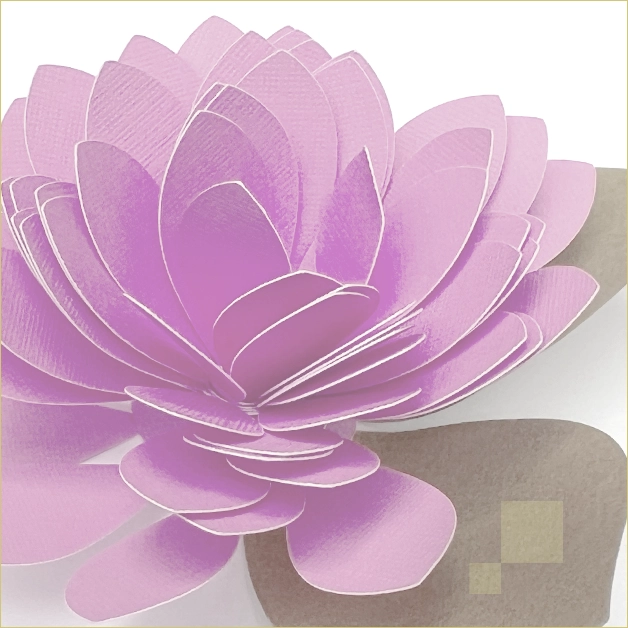 Paper Flower making with Donna Bridy October/24