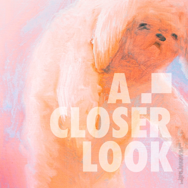 A closer Look: Laura Romaine – Opening reception 9/12/25