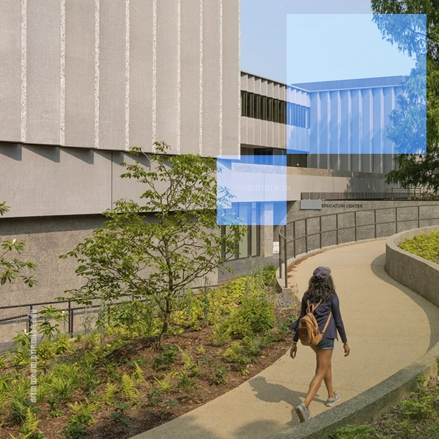 Princeton University Art Museum 3/17/26