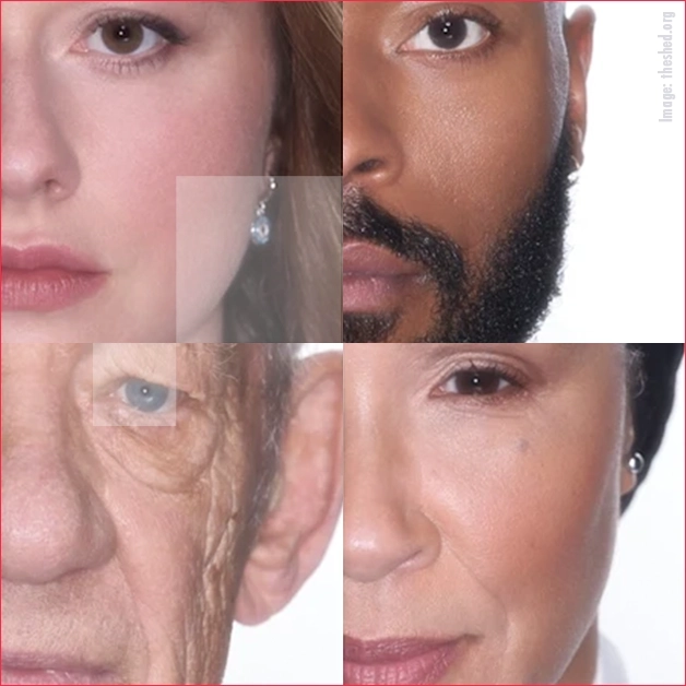 An Ark, The Shed 2/24/26